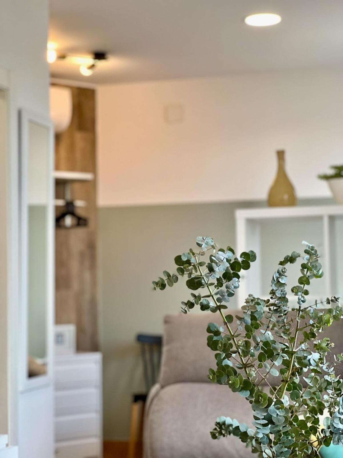 Apartamentos De Pradas 瓦伦西亚 外观 照片